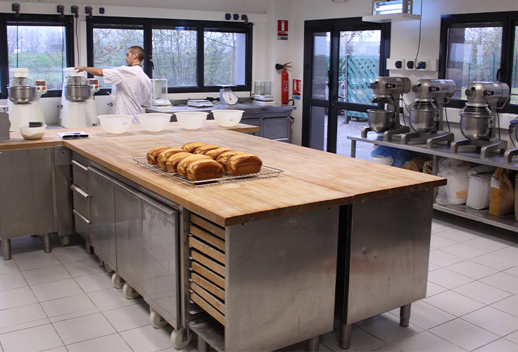 EUROGERM SAS | Solutions créatives pour la filière pain blé farine en France