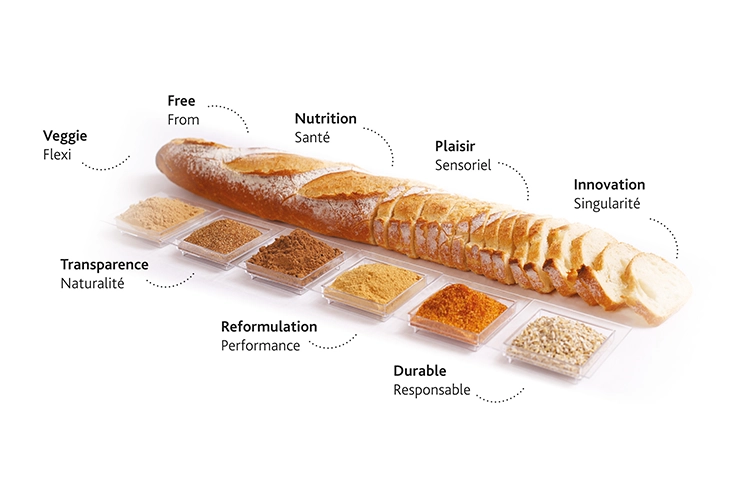 Innovations et tendances pour la filière blé-farine-pain-pâtisserie en France | EUROGERM SAS